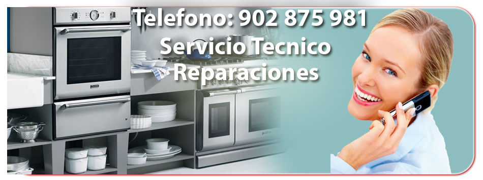 Servicio Tecnico de Calderas Renova en Cantabria. Reparacion Renova Cantabria Telefono: 902 808 272